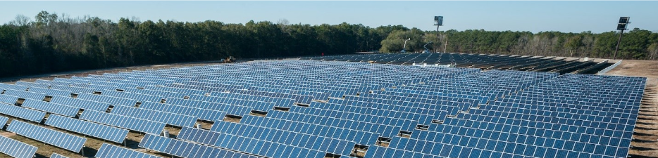 Large Solar farm