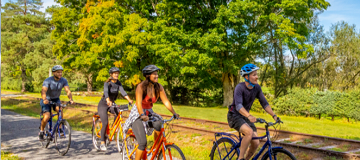 4 cyclists in park