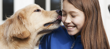 Dog licking young girl on face