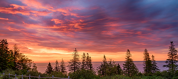 Red and Gray sky