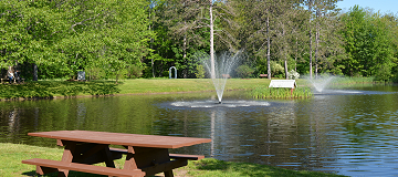 Park pond with picnic bench and water fountains