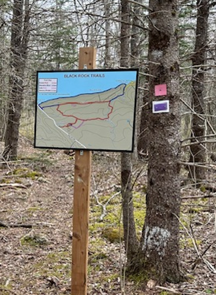 Black Rock Trails