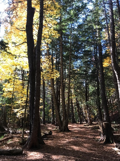 Kentville Ravine Trail