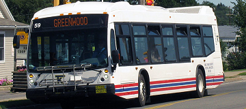 Public transit bus