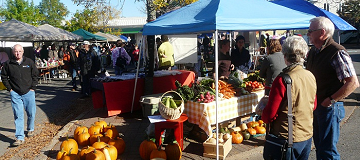 Farm market displays