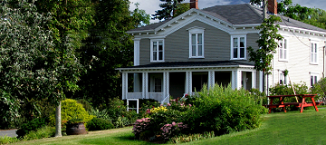 Vintage house and garden